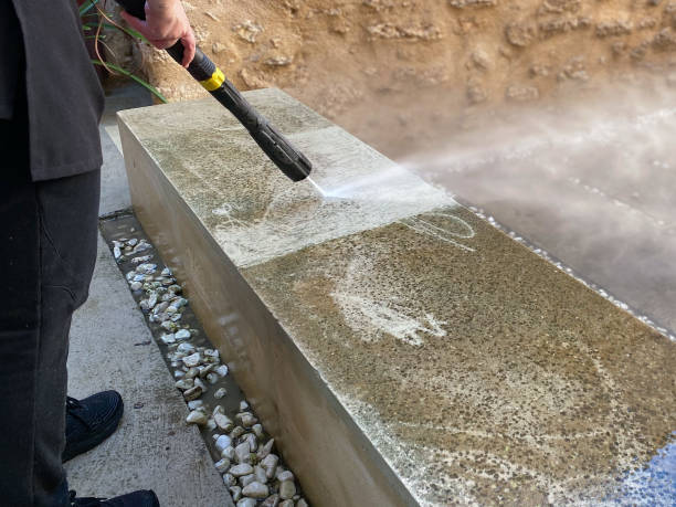 Best Roof Pressure Washing  in Muncie, IN